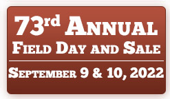 Annual Sale