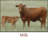 Milk Production